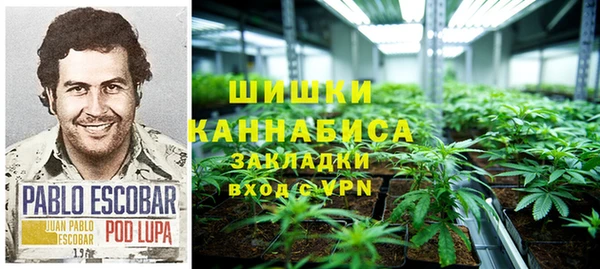 ГАЛЛЮЦИНОГЕННЫЕ ГРИБЫ Белокуриха